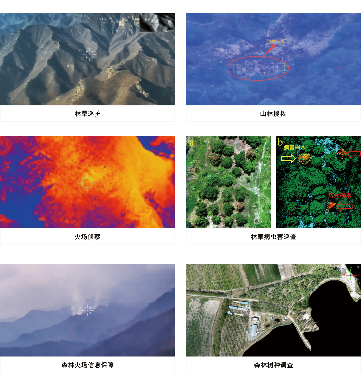 彩运网(中国游) - 官方网站