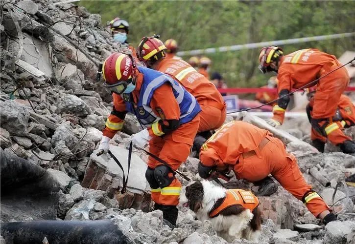 彩运网(中国游) - 官方网站