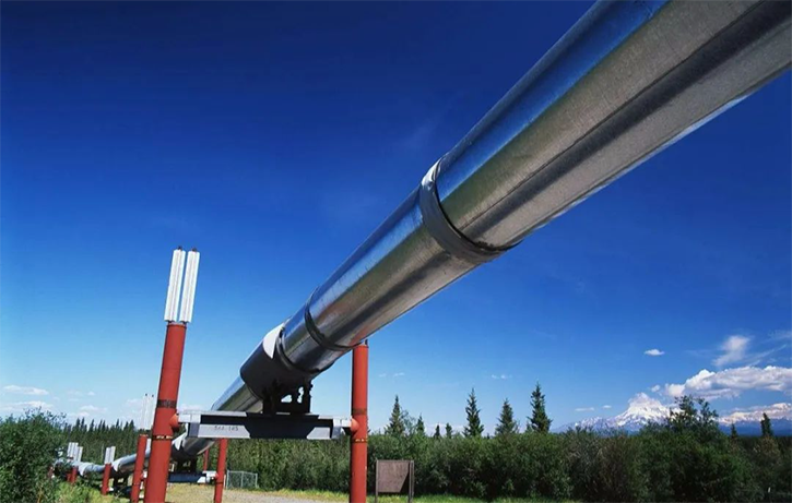 彩运网(中国游) - 官方网站