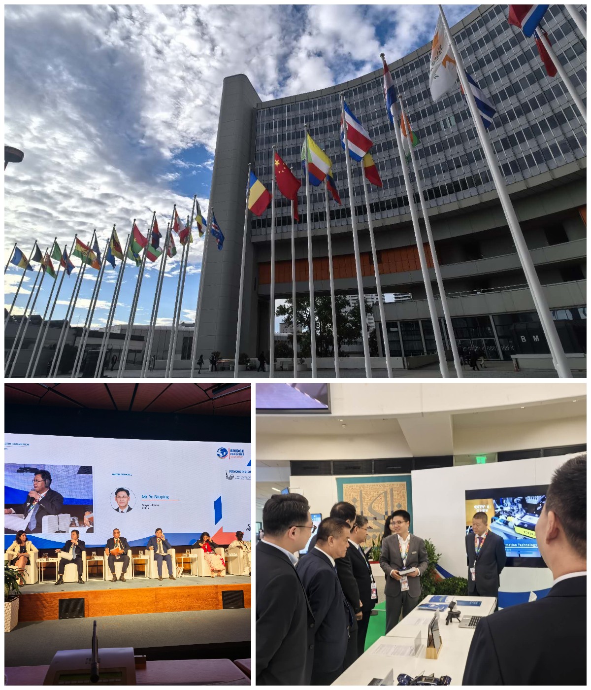 彩运网(中国游) - 官方网站